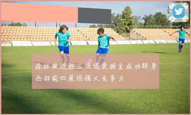 森林狼连胜三场逆袭掘金成功跻身西部前四展现强大竞争力